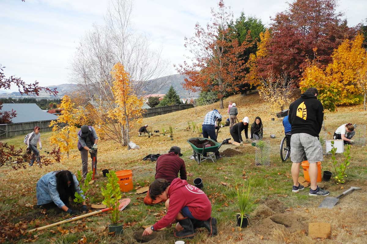 Te Kakano Community Planting